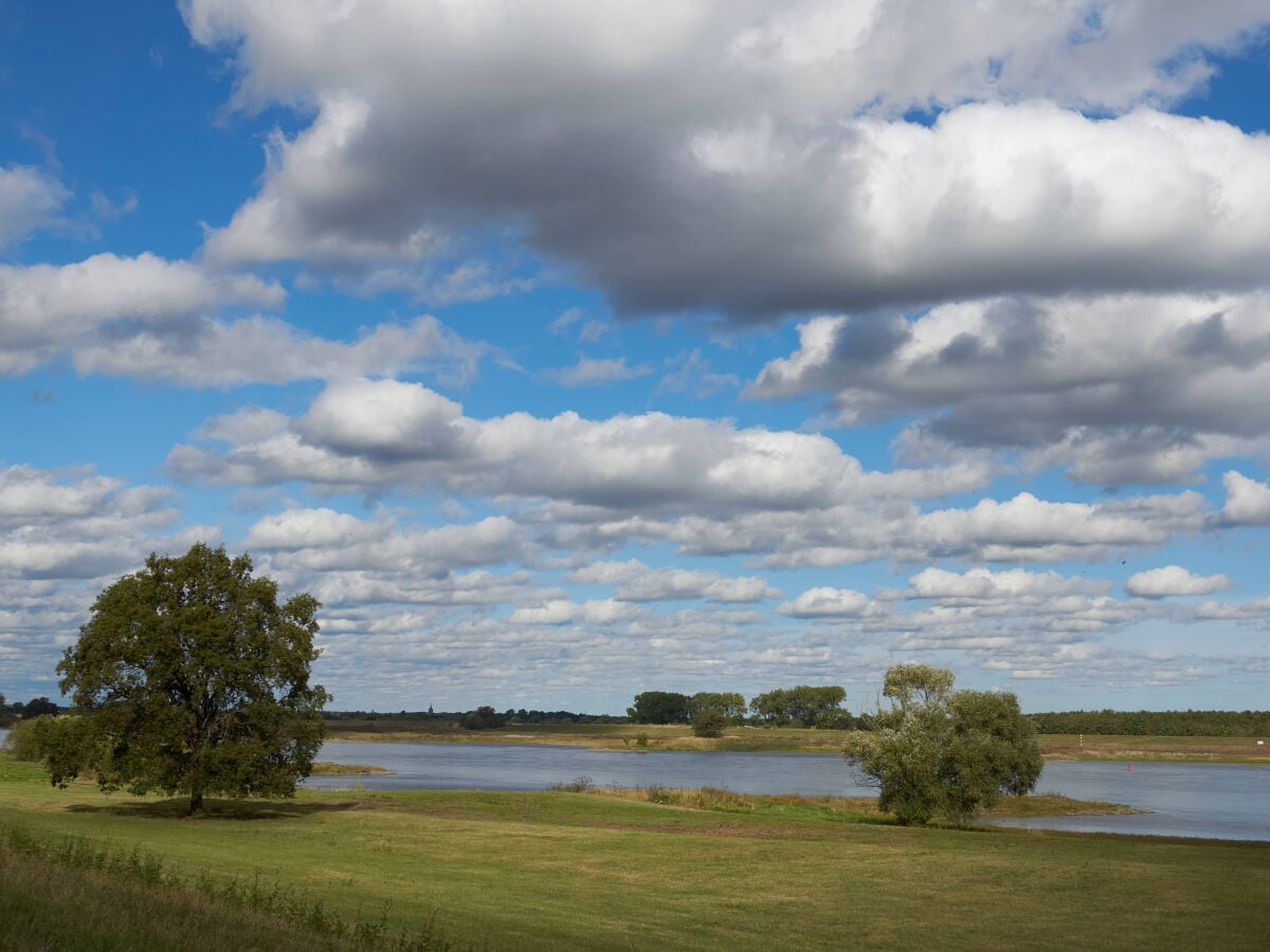 in 5 Minuten an der Elbe... wunderbar