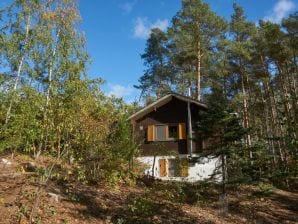 Ferienhaus Natururlauberhaus Wendland