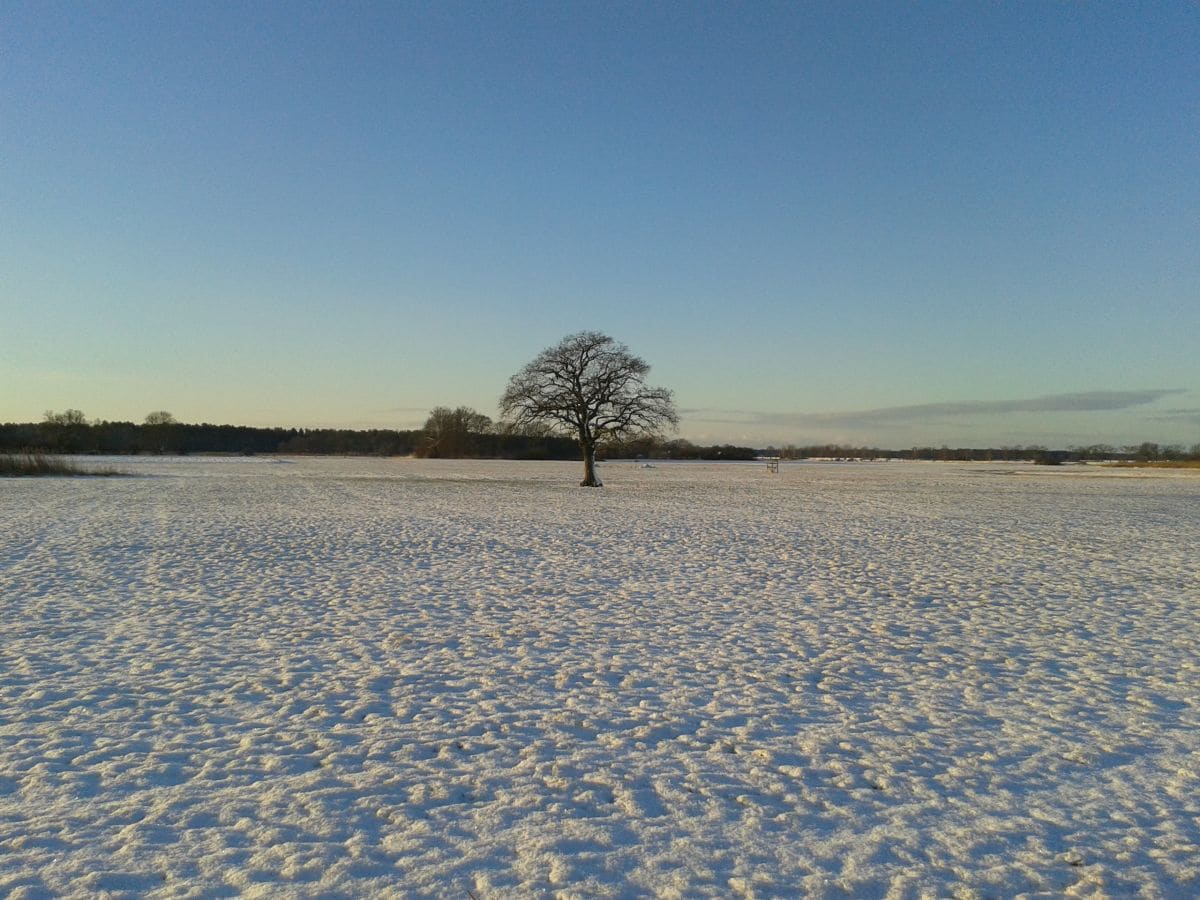 Winterspaziergang im Wendland