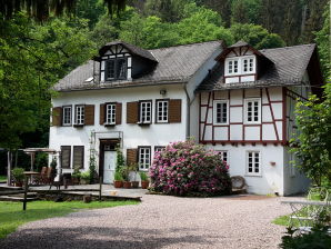 Ferienwohnung Romantische Mühle - Nassau - image1