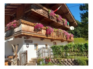 Appartamento per vacanze Kössen Registrazione all'aperto 3