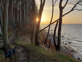 Spaziergang im Märchenwald