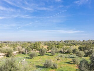 Tenuta Campos Ambiente 32