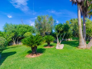 Villa Felanitx Registrazione all'aperto 10