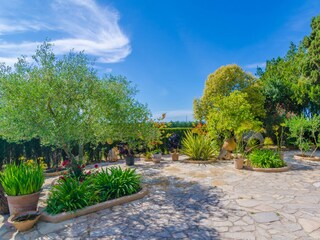 Villa Felanitx Registrazione all'aperto 13