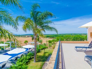 Villa Manacor Registrazione all'aperto 4