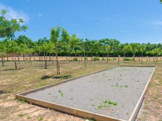 Villa Manacor Registrazione all'aperto 6