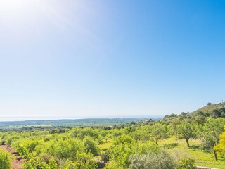 Finca S'Horta Buitenaudio-opname 19