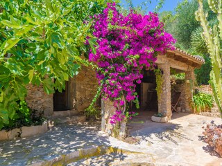 Villa S'Horta Grabación al aire libre 7