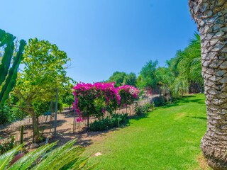 Villa S'Horta Outdoor Recording 16