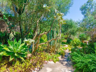 Villa S'Horta Grabación al aire libre 17