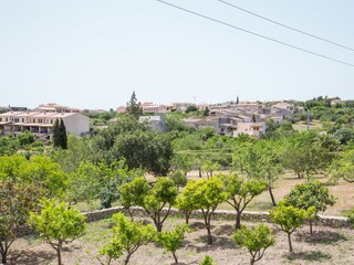 Tenuta Selva Registrazione all'aperto 7