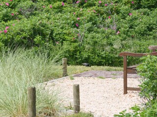 Vakantiehuis Callantsoog Buitenaudio-opname 8