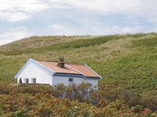 Casa de vacaciones Callantsoog Grabación al aire libre 6