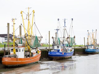 Der Krabbenkutterhafen Dorum-Neufeld