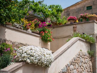 Villa Sóller Registrazione all'aperto 10
