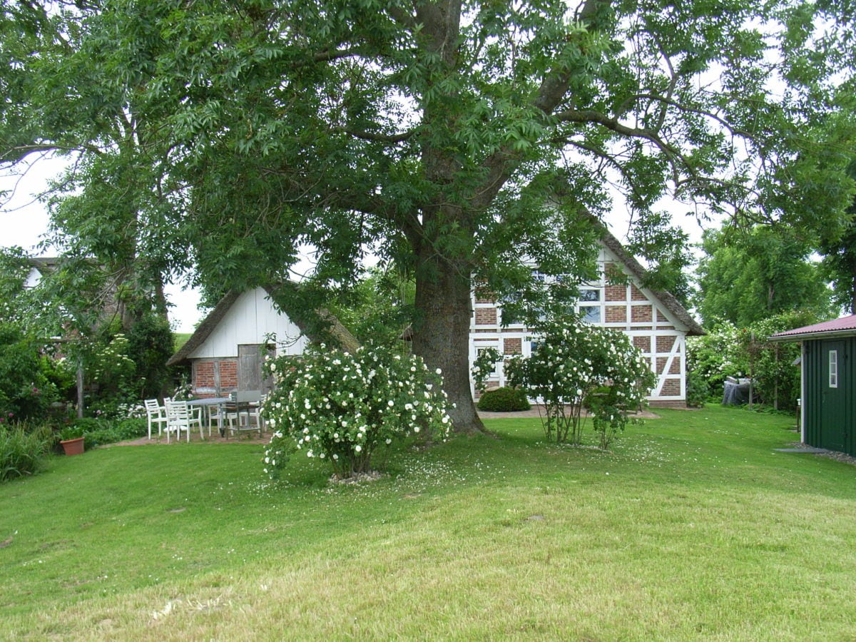 Der Garten in Südlage