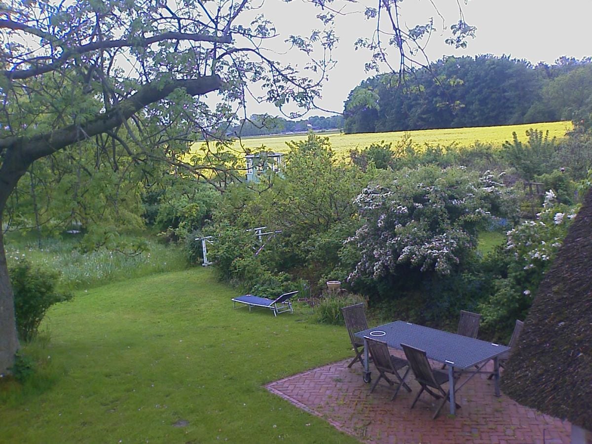 Blick auf die Terrasse