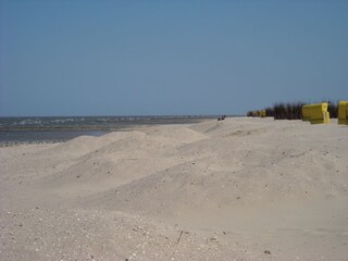 Frühling am Strand