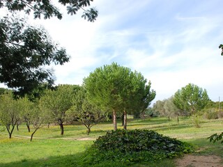 Chalet Montegrosso Registrazione all'aperto 3