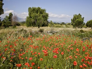 Chalet Montegrosso Ambiente 13