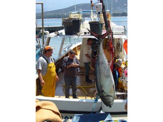 Chalet Montegrosso Ambiente 21