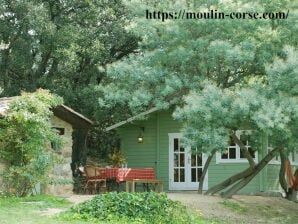 Chalet Mimosa - Montegrosso - image1