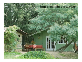 Chalet Mimosa