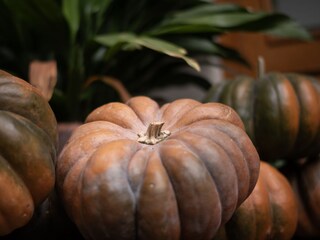 Appartamento per vacanze Cerkno Registrazione all'aperto 12