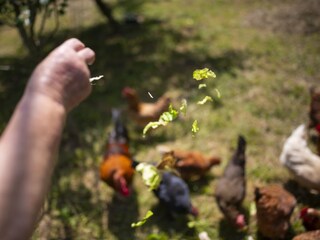 Appartamento per vacanze Cerkno Registrazione all'aperto 13