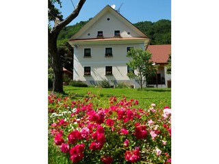 Vakantieappartement Cerkno Buitenaudio-opname 11