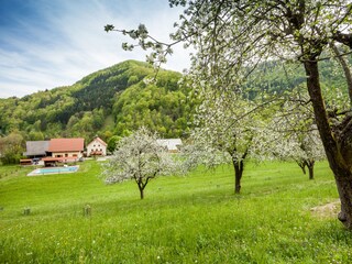 Vakantieappartement Cerkno Buitenaudio-opname 4