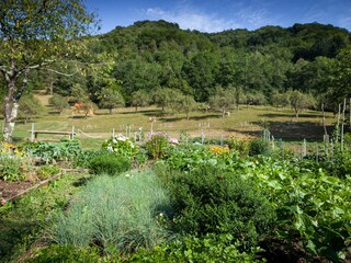 Appartamento per vacanze Cerkno Registrazione all'aperto 6