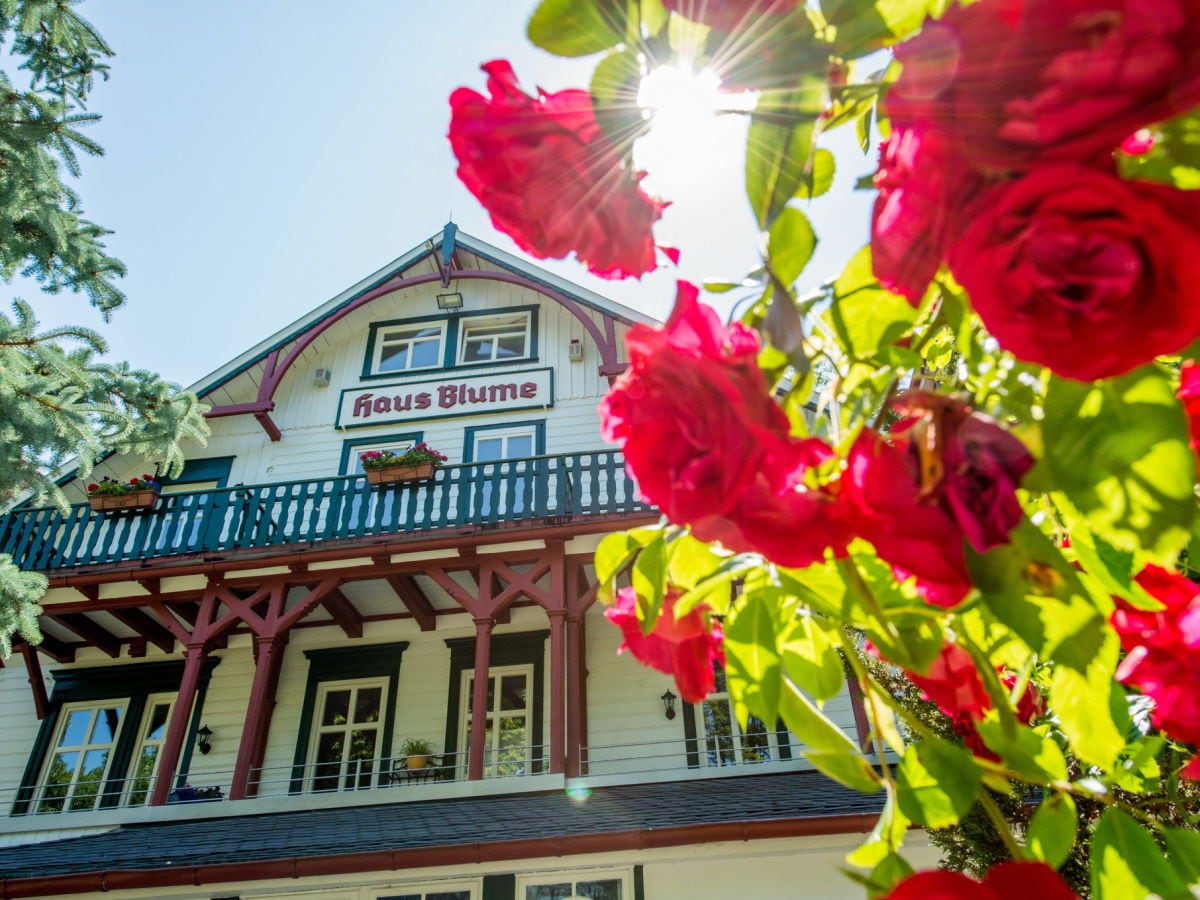 Ferienwohnung Haus Blume - Appartement 201, Wernigerode ...
