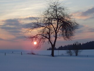 Abendstimmung im Winter