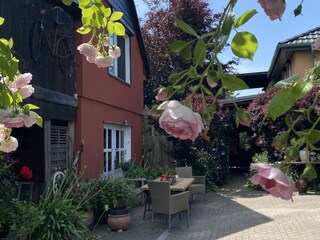 Holiday apartment Seeblick Outdoor Recording 8