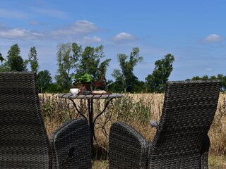 Ein Platz am Feldrand .... später zur Abendsonne