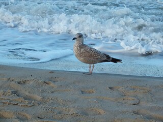 in drei Minuten am Strand