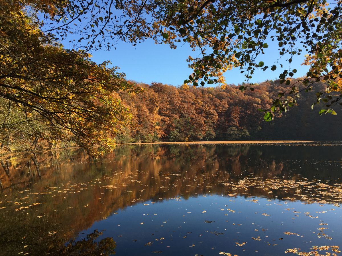 Indian Summer in Bernshausen