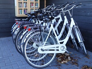 Rent a bicycle at the reception
