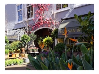 Flower shop at Middelburg
