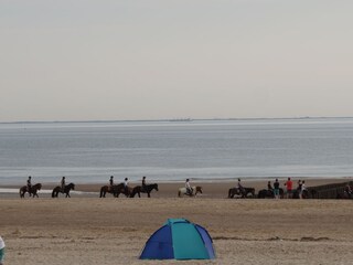A beautiful beach on a short distance from the Chalet