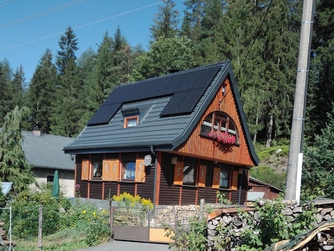 Ferienhaus Zum Waldhaus