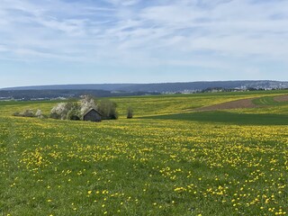 Holiday apartment Freudenstadt Features 14