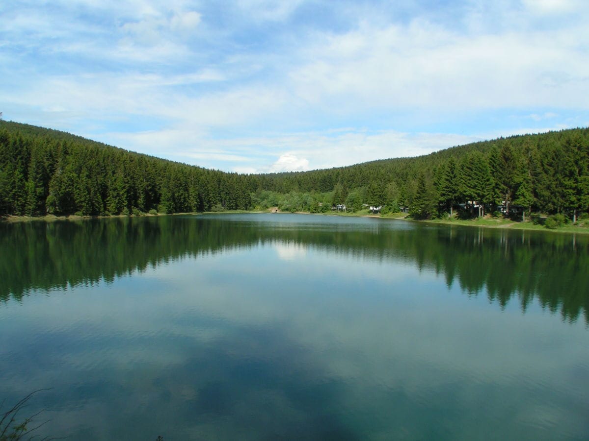 Ferienhaus Blockhaus direkt am See Café Egerland, Hahnenklee, Firma