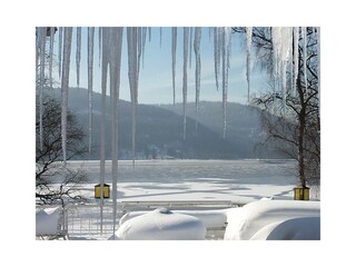 Der magische Titisee im Winter