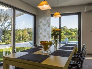 Villa Tinjan Caratteristiche 9