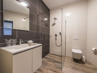 Villa Tinjan Caratteristiche 15