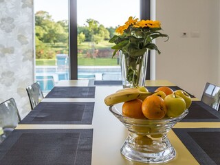 Villa Tinjan Caratteristiche 18