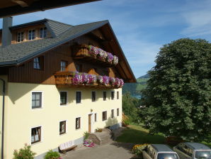 Holiday apartment Danter - Nussdorf, Attersee - image1